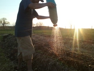 Watering the Garden Beds